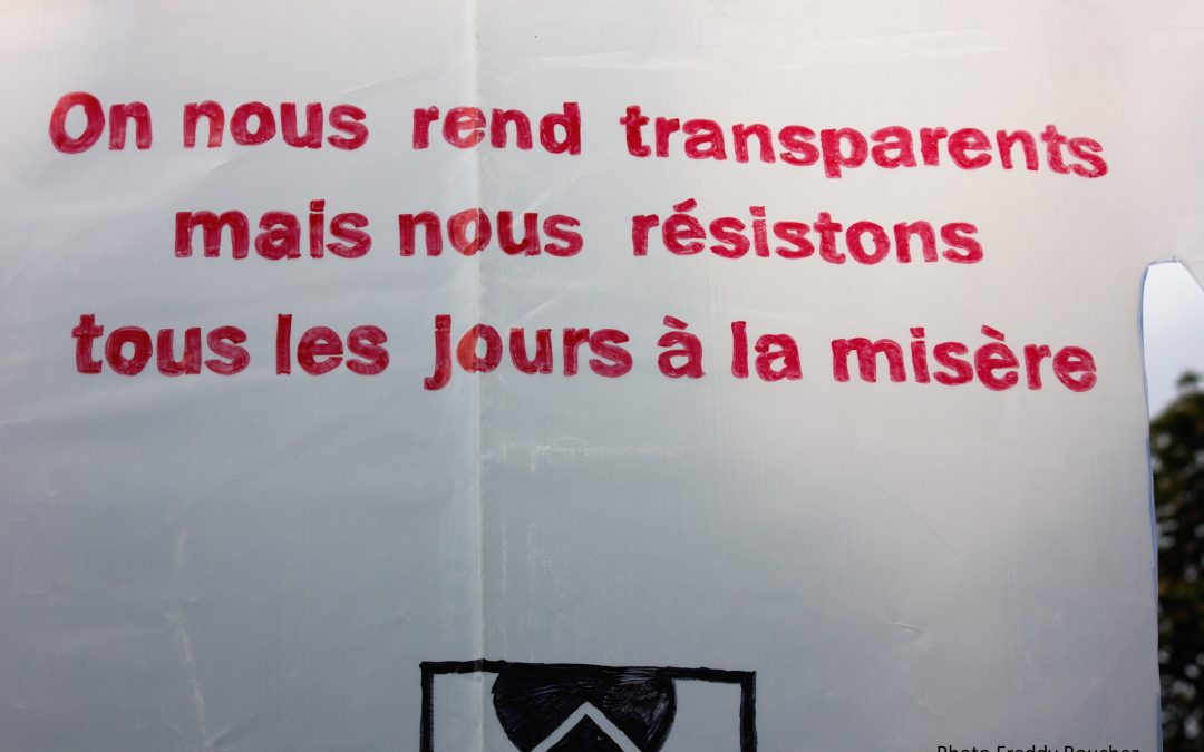Freddy Bouchez photo 2